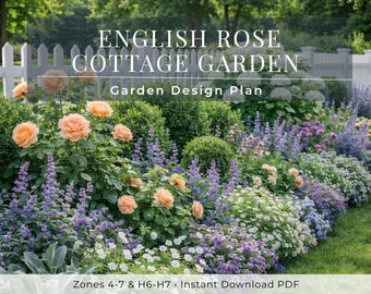 Plano de jardín inglés con rosas en formato PDF / Borde romántico de plantas perennes / Zonas de pleno sol 4-7 / Diseño de plantación con cerca o cimientos de estilo cottage