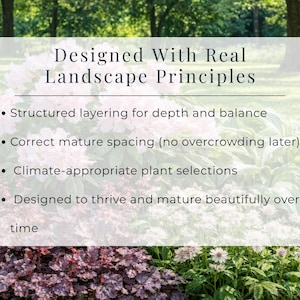 Serene Woodland Shade Garden Design Plan | Part Shade Perennial Landscape Layout | Zones 3-8 Printable PDF image 5