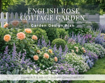 English Rose Cottage Garden Plan PDF | Romantic Perennial Border Layout | Full Sun Zones 4–7 | Cottage Fence or Foundation Planting Design