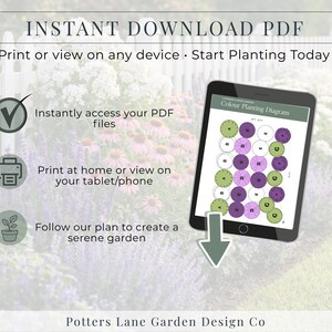 Lavender & White Garden Plan PDF, Full Sun Perennial Border Layout ...