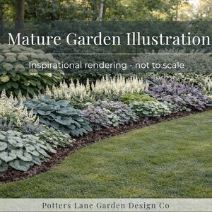 May include: A mature garden illustration featuring a variety of plants with green, white, and purple foliage. The text "Mature Garden Illustration" and "Inspirational rendering - not to scale" are displayed. The garden is bordered by a green lawn.