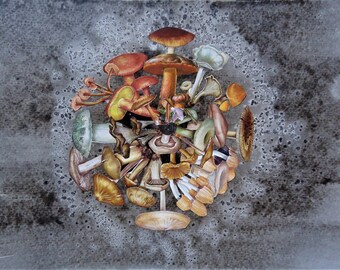 mushroom mandala 3 - hand cut analog nature collage - mandala forever series