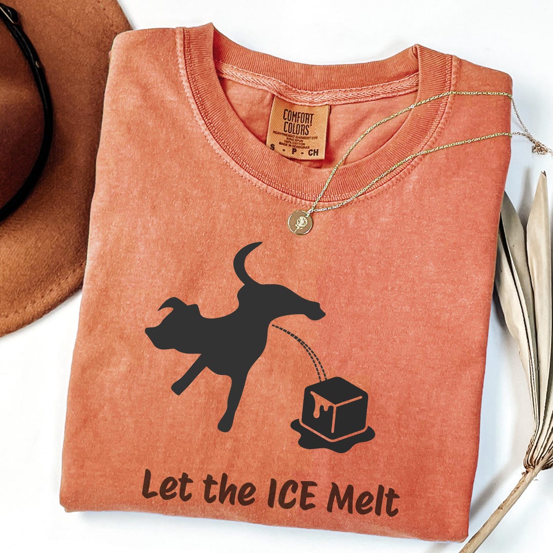 Let the ICE Melt Shirt, Abolish ICE Graphic Tee, Anti ICE Protest ...