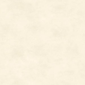 Off White Tonal Cream Tonal From Maywood Studio Shadow Play Collection  513M-W2