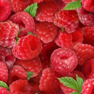 Raspberries Berry Good from Elizabeths Studio, Tossed Raspberries 154Raspberry