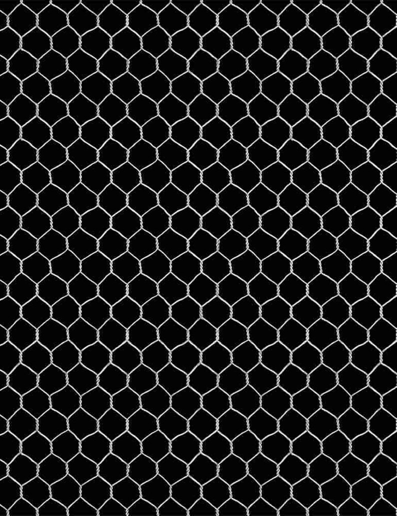 Black Chicken Coop Wire French Country Farm C8148 From Etsy