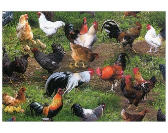 Farm Animals Chickens and Roosters Green Elizabeth's Studio