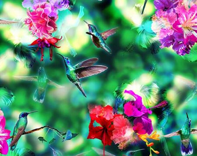 Hoffman Digital Hummingbird Haven Hummingbird Spectrum Print - Etsy