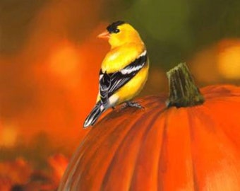 Goldfinch and Pumpkin Digital 36in x 44in Panel From Four Seasons David Textiles ML31930C1