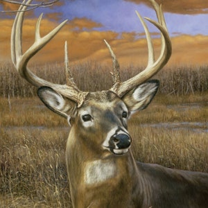 Fall Splendor Deer 35in x 44in Panel, David Textiles Exclusive Prints WW-3296-2C-1