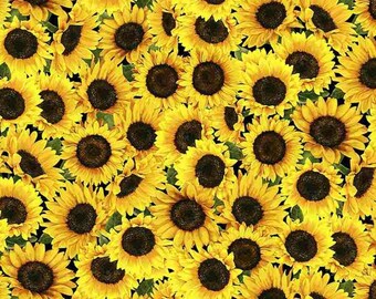 sunflower様 Kate Ward Thacker Sunflower Garden Cotton Fabric