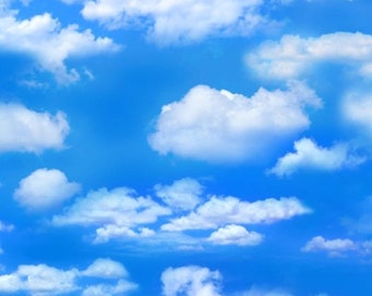 Blue Cloud Sky, Landscape Medley from Elizabeth Studio, Cloudy Sky 369Blue