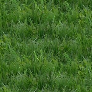 Green Grass Landscape Medley Print from Elizabeth's Studio