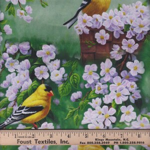 Goldfinch Blossoms Allover David Textiles Foust Exclusive Prints image 2