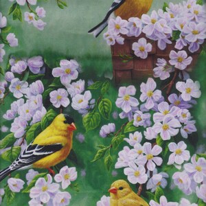 Goldfinch Blossoms Allover David Textiles Foust Exclusive Prints image 3