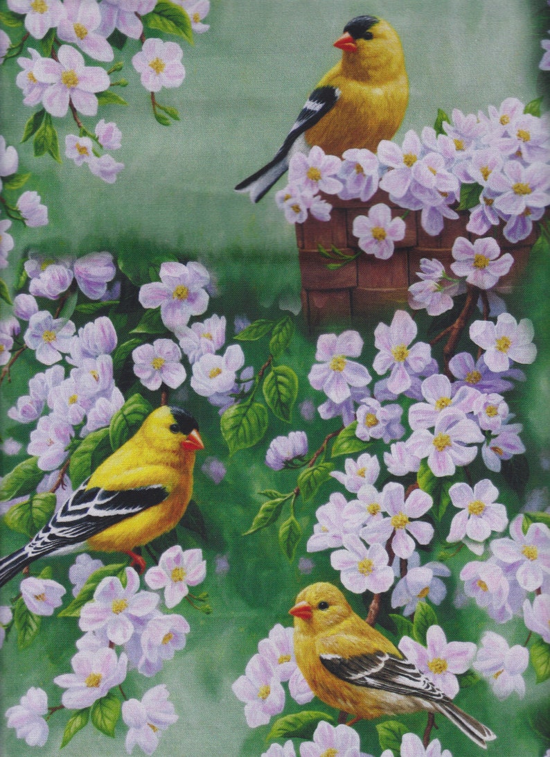 Goldfinch Blossoms Allover David Textiles Foust Exclusive Prints image 3