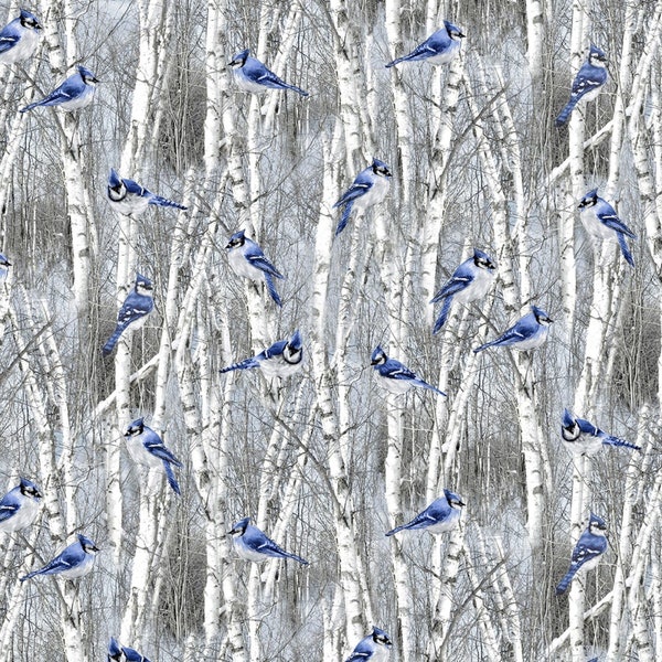 Blue Jays Winter Bird C7851 Blue Winter Frost by Timeless Treasures