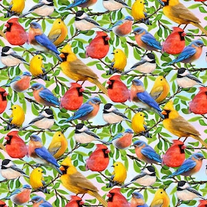 Mixed Birds on Blue, Hydrangea Garden Sky Blue Bird Digital Fabric By Janie Lee for Studio e Fabrics