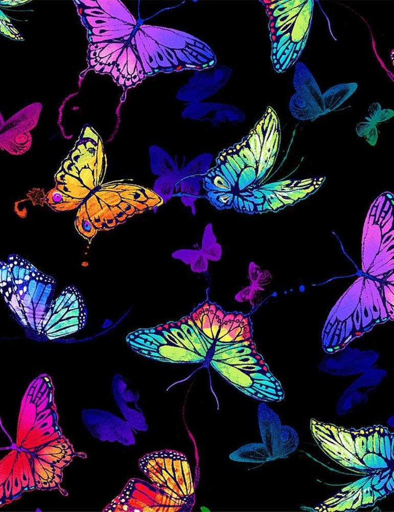 May include: A black background with a colorful butterfly pattern. The butterflies are in various shades of blue, green, purple, orange, and red. The butterflies are arranged in a random pattern.
