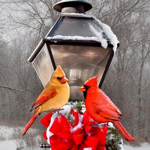 Cardinals & the Winter Street Lamp 34 inch Panel, Davids Textiles GG 00329C1, beginning of bolt cut very wonky