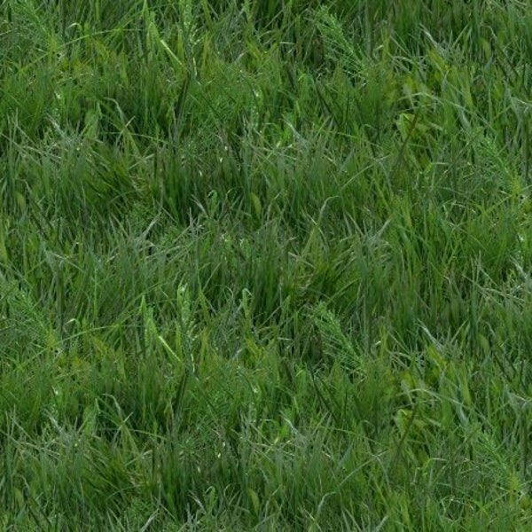 Green Grass Landscape Medley Print from Elizabeth's Studio
