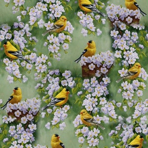 Goldfinch Blossoms Allover David Textiles Foust Exclusive Prints image 1