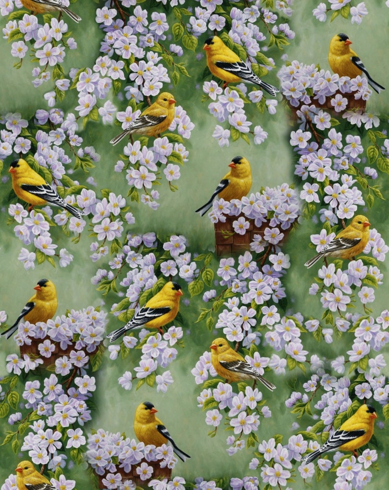 Goldfinch Blossoms Allover David Textiles Foust Exclusive Prints image 1