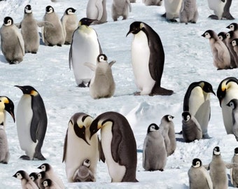 Emperor Penguin Family Fabric Artic Wildlife, Penguins by Elizabeth Studio 490 Snow