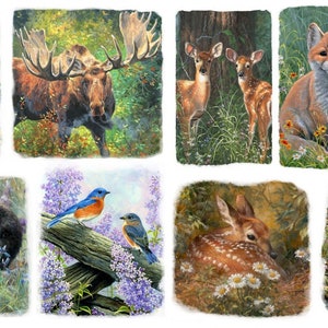 May include: A collection of eight nature-themed art prints featuring various North American wildlife. The prints depict a rabbit, moose, deer, foxes, bears, bluebirds, and a fawn, all set in natural environments with vibrant colors.
