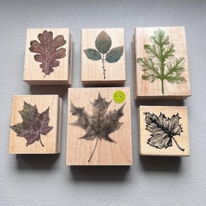Vintage Rubber Stamp Leaves Maple, Oak and Rose Fall Autumn Wood Mounted Stamps
