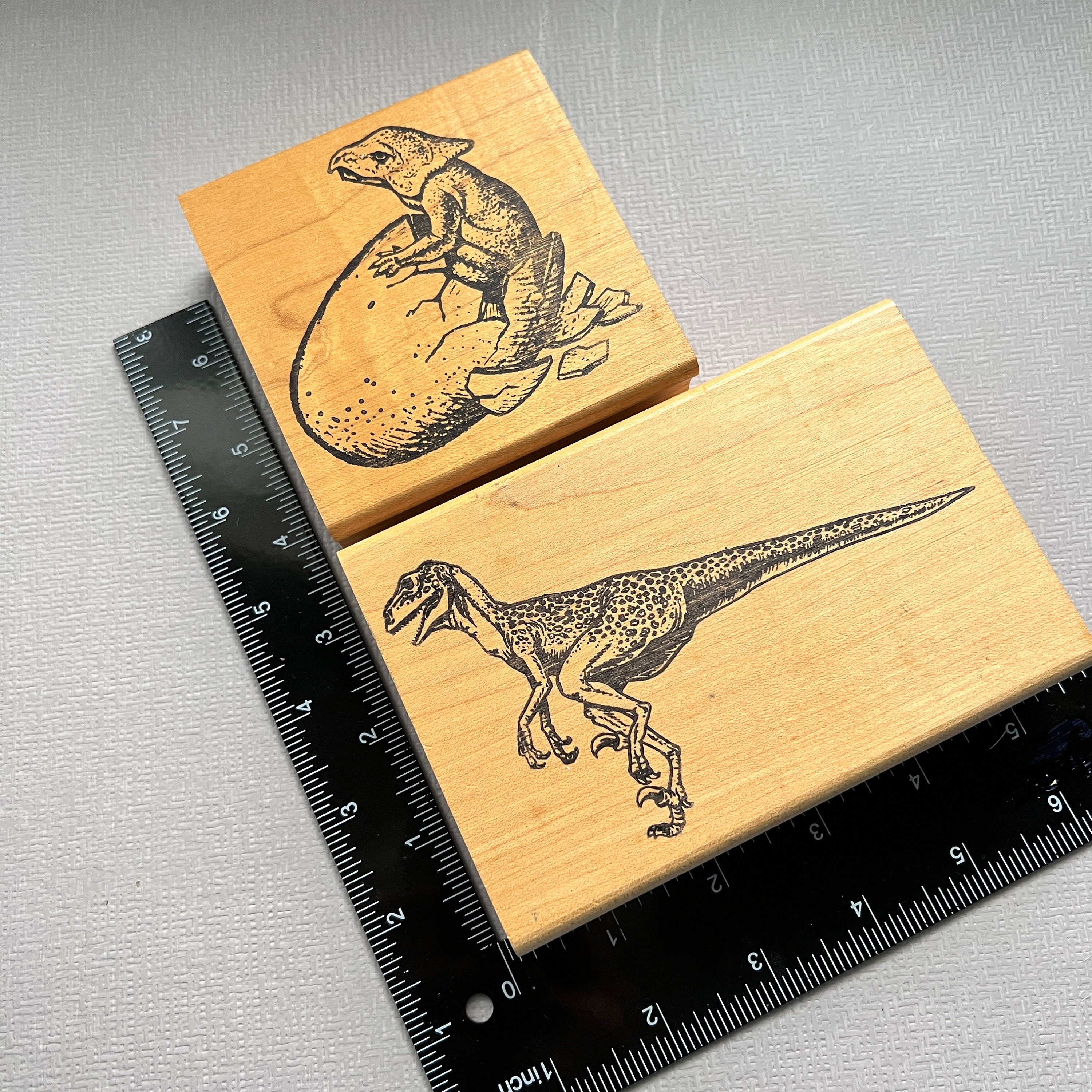 Pterodactyl-dinosaur-large or Small Wood Block Mounted Rubber