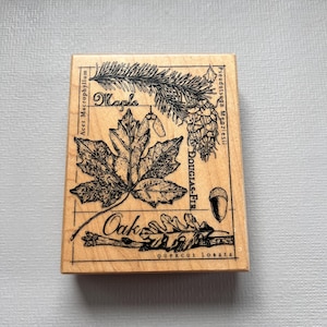 Unmounted Rubber Stamp Set Fantasy Fairy Art #Fant-118