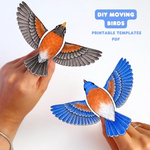 Puede incluir: Dos recortes de pájaros de papel con el texto DIY MOVING BIRDS PRINTABLE TEMPLATES PDF. Un pájaro tiene cabeza negra, pecho naranja y alas grises. El segundo pájaro tiene cabeza azul, pecho naranja y alas azules con plumas detalladas.