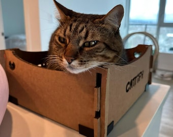 Cattify Cardboard Cat Scratcher — Lounge Box