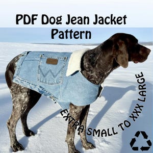 Puede incluir: Una chaqueta vaquera azul para perro con cuello de borreguillo blanco y un bolsillo con un parche de cuero marrón. El texto dice PDF Dog Jean Jacket Pattern y Extra Small to XXX Large. La chaqueta la lleva un perro moteado.