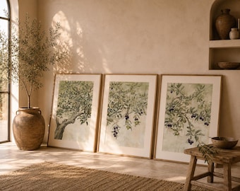 Sage Green Botanical Wall Art Set of 3, Olive Branch Watercolor Print, Vintage Mediterranean Decor, Triptych Canvas Poster