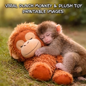 May include: A baby monkey sleeps soundly, nestled against a plush toy monkey. The plush toy is orange and brown, with a smiling face. The text "VIRAL PUNCH MONKEY & PLUSH TOY PRINTABLE IMAGES" is at the top of the image. The scene is set on green grass.
