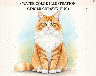 7 Watercolor Illustrations Orange Cat PNG, Ginger Kitty Clipart, Digital Download, SVG & PNG Cats Pets Orange Cat Fur Cat
