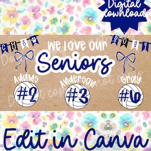May include: A digital download design featuring the text 'we love our Seniors' in blue and white, with volleyball graphics labeled with names Adams, Anderson, and Gray, and numbers #2, #3, and #6. Includes blue pennant banners and bows.