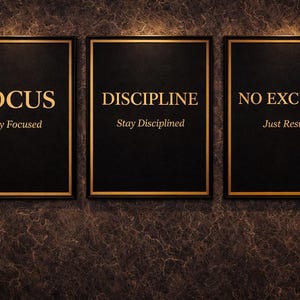 May include: Three framed black plaques with gold lettering and trim. The plaques read "FOCUS, Stay Focused", "DISCIPLINE, Stay Disciplined", and "NO EXCUSES, Just Results". The plaques are mounted on a textured, dark brown wall.