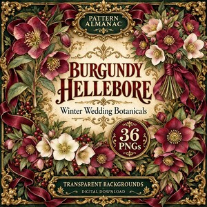 Peut inclure: Un graphique numérique avec le texte Pattern Almanac, Burgundy Hellebore, Winter Wedding Botanicals, 36 PNGs, et Transparent Backgrounds Digital Download, encadré par des fleurs d'hellébore bordeaux, des feuilles vertes et des rubans.