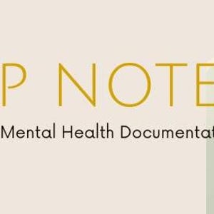 BIRP (Behavior, Intervention, Response, Plan) Template