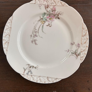 Haviland china 1890 - Etsy 日本