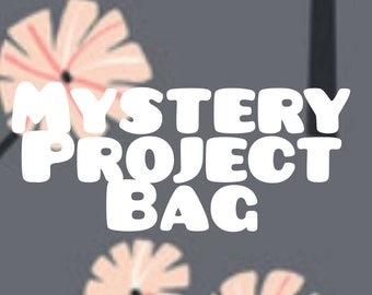 Mystery Project Bag for knitting crochet crafts