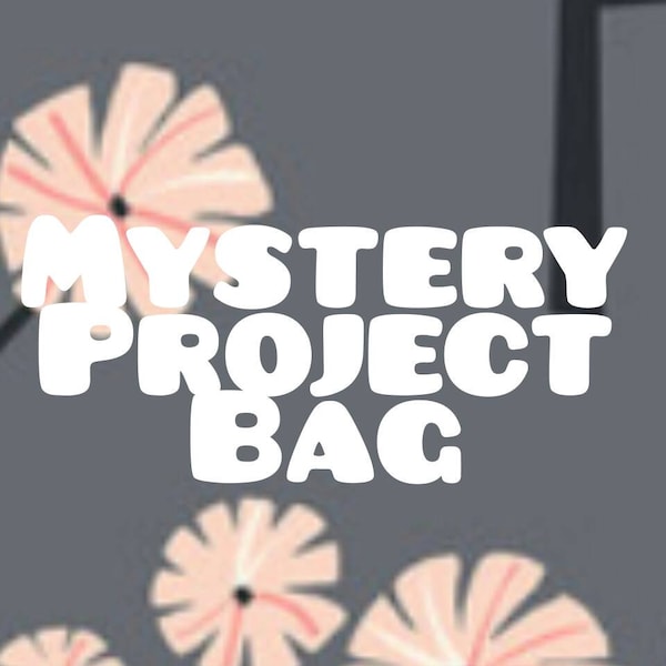 Mystery Project Bag for knitting crochet crafts