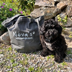 May include: A dark grey canvas tote bag with the text "Nova's ADVENTURE BAG" in white, and a paw print. A small black dog wearing a patterned harness sits beside the bag, on a bed of small stones.