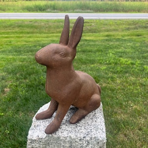 May include: A cast iron rabbit figurine with a dark, rusted brown finish. The rabbit is depicted in a seated, upright position with long, pointed ears, a defined snout, and a textured surface, showcasing a weathered, aged appearance throughout.