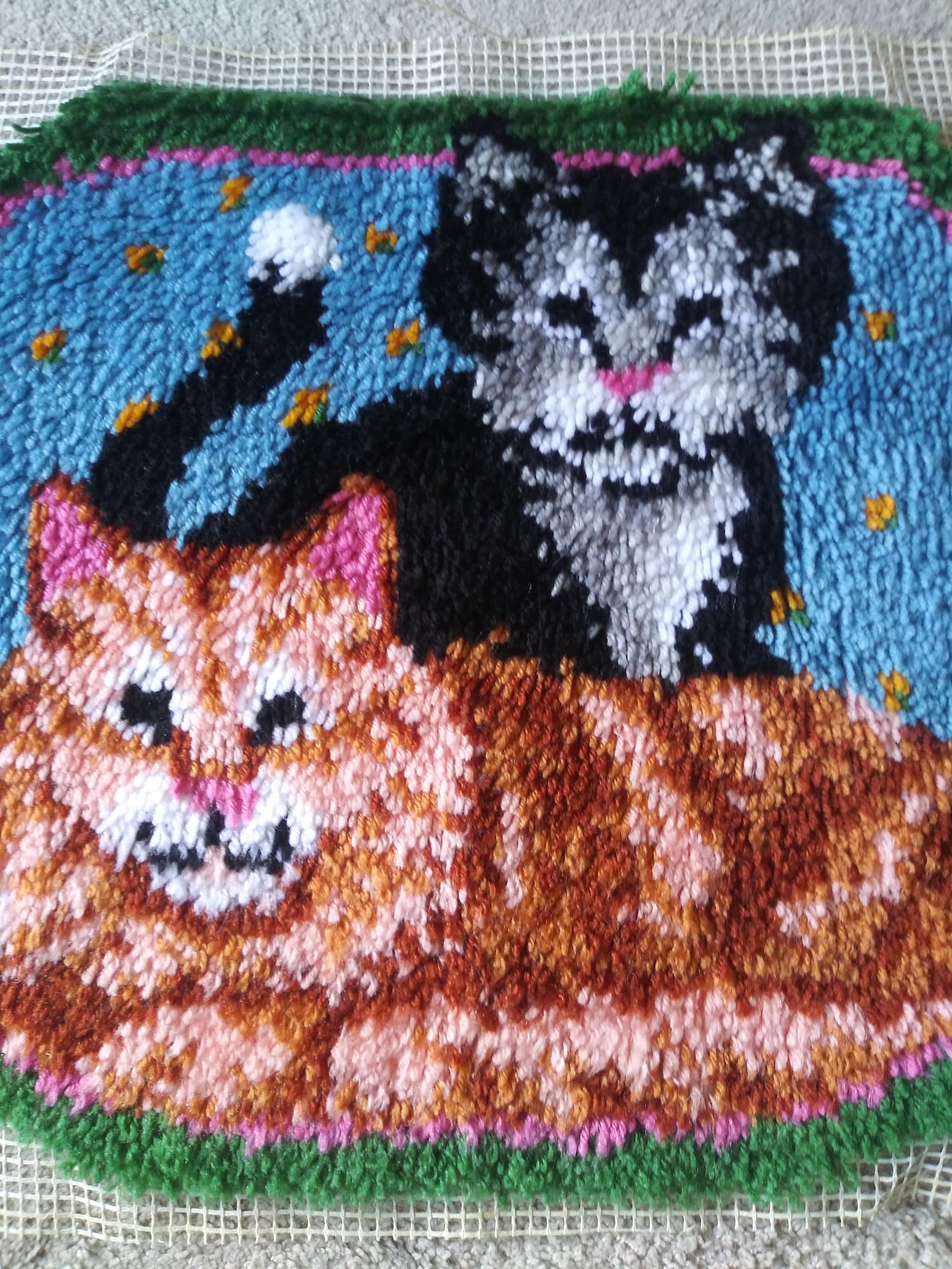Cat Latch Hook Rug Etsy