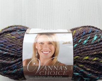 1 skein Lion Brand Yarn Vanna's Choice Cambridge