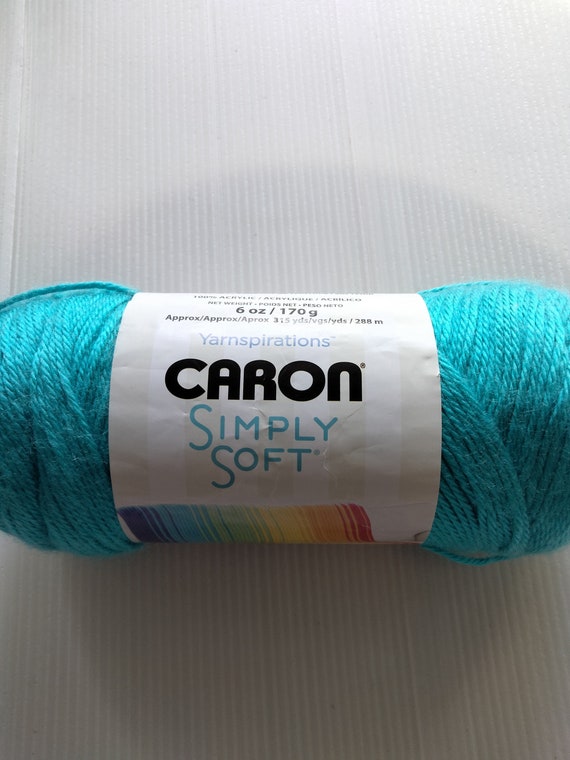 1 Skein Caron Simply Soft Yarn / Blue Mint 